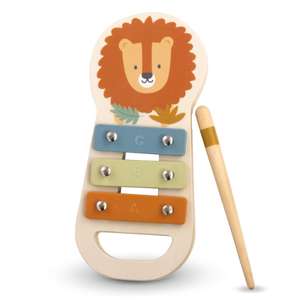 Muzikos instrumentų rinkinys Afrika