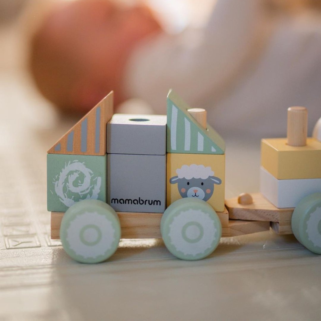 Medinis traukinys su blokeliais berniukui - Ūkis