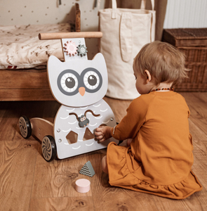 Medinė daugiafunkcinė vaikštynė - stumdukas - vežimėlis su kaladėlėmis - Owl