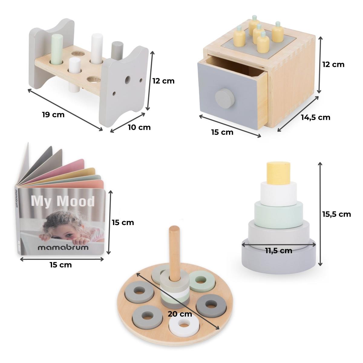 Montessori lavinamoji dėžutė mažiems vaikams - 6 žaislai