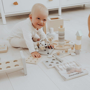 Montessori lavinamoji dėžutė mažiems vaikams - 6 žaislai