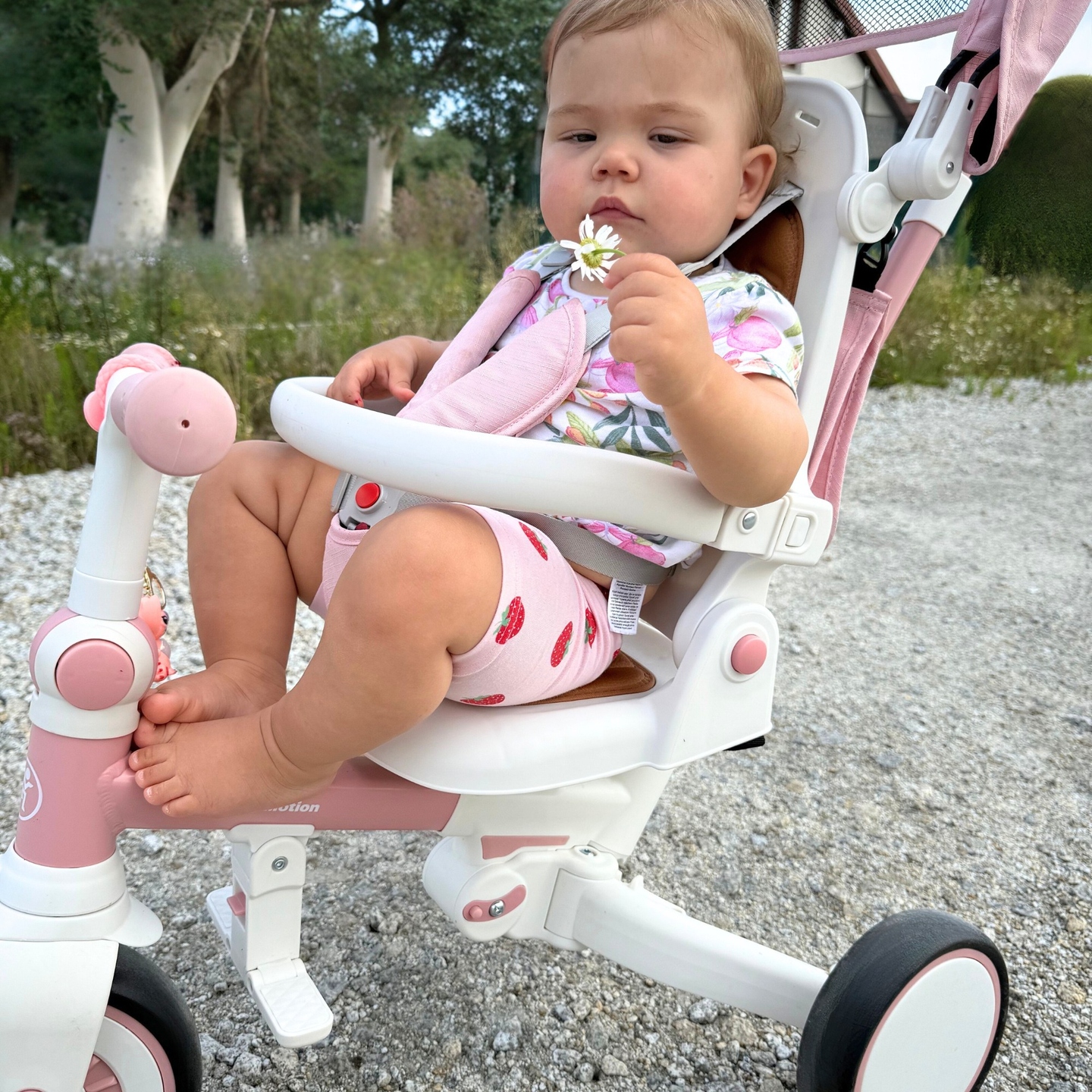 8in1 daugiafunkcinis triratukas TOBI FOREST - rožinis