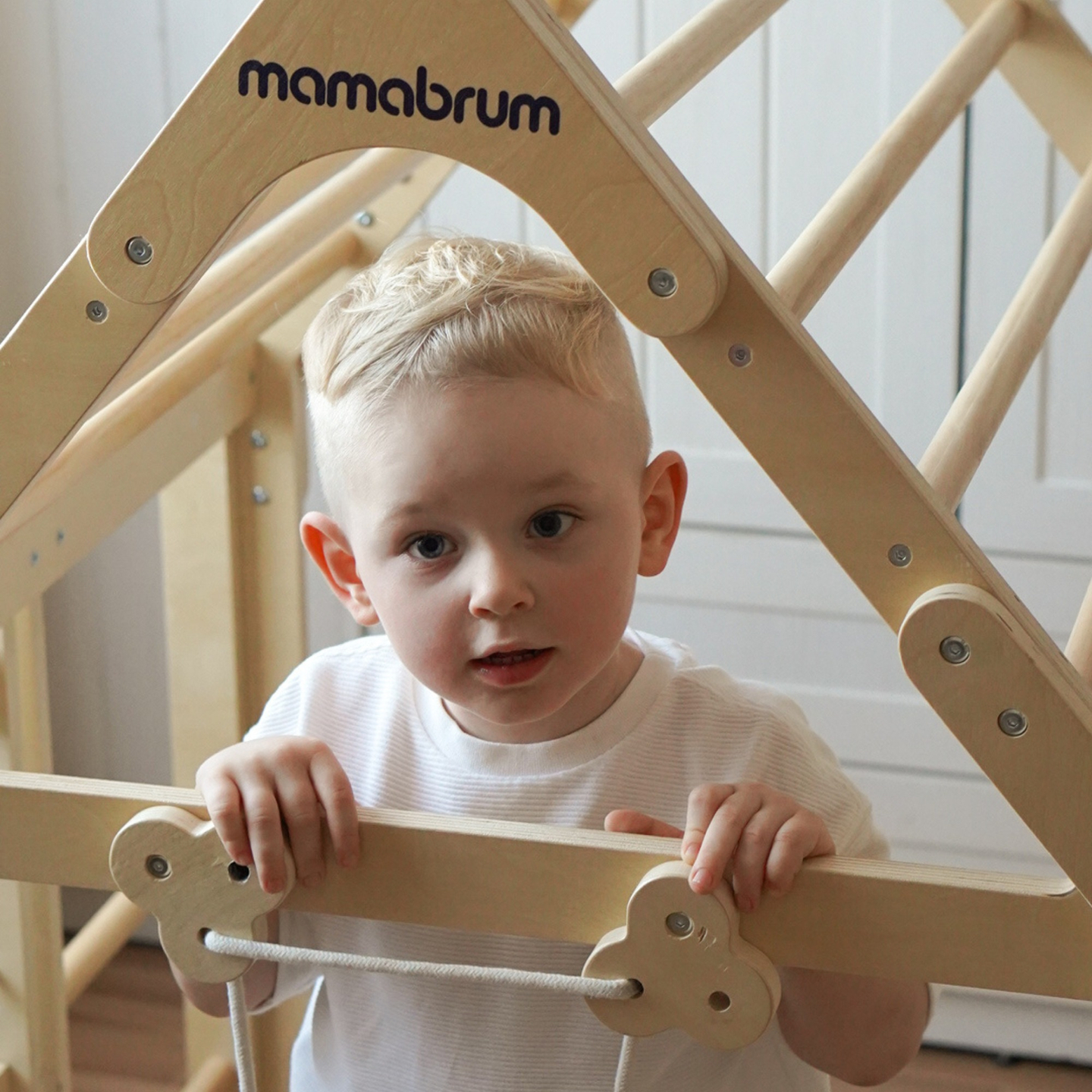 Medinė žaidimų aikštelė vaikams viduje – namelis su kopėčiomis ir čiuožykla