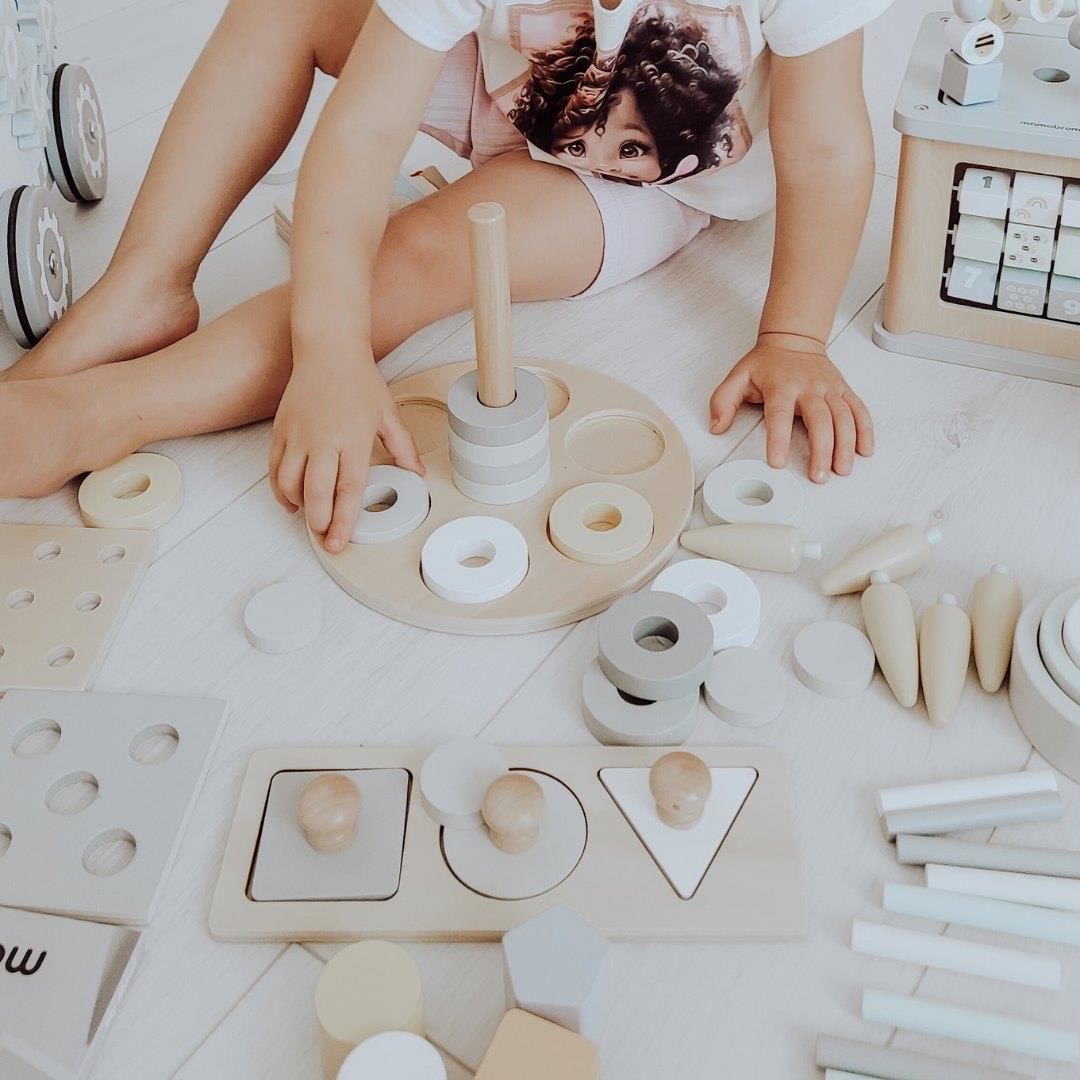 Montessori lavinamoji dėžutė mažiems vaikams - 6 žaislai