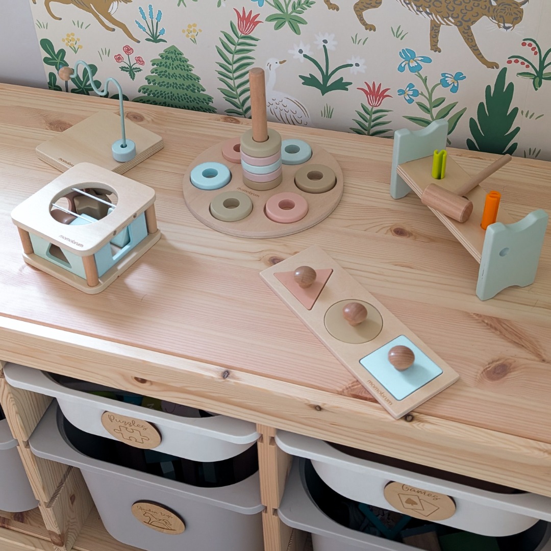 Montessori žaislų rinkinys 13-18 mėnesių vaikams