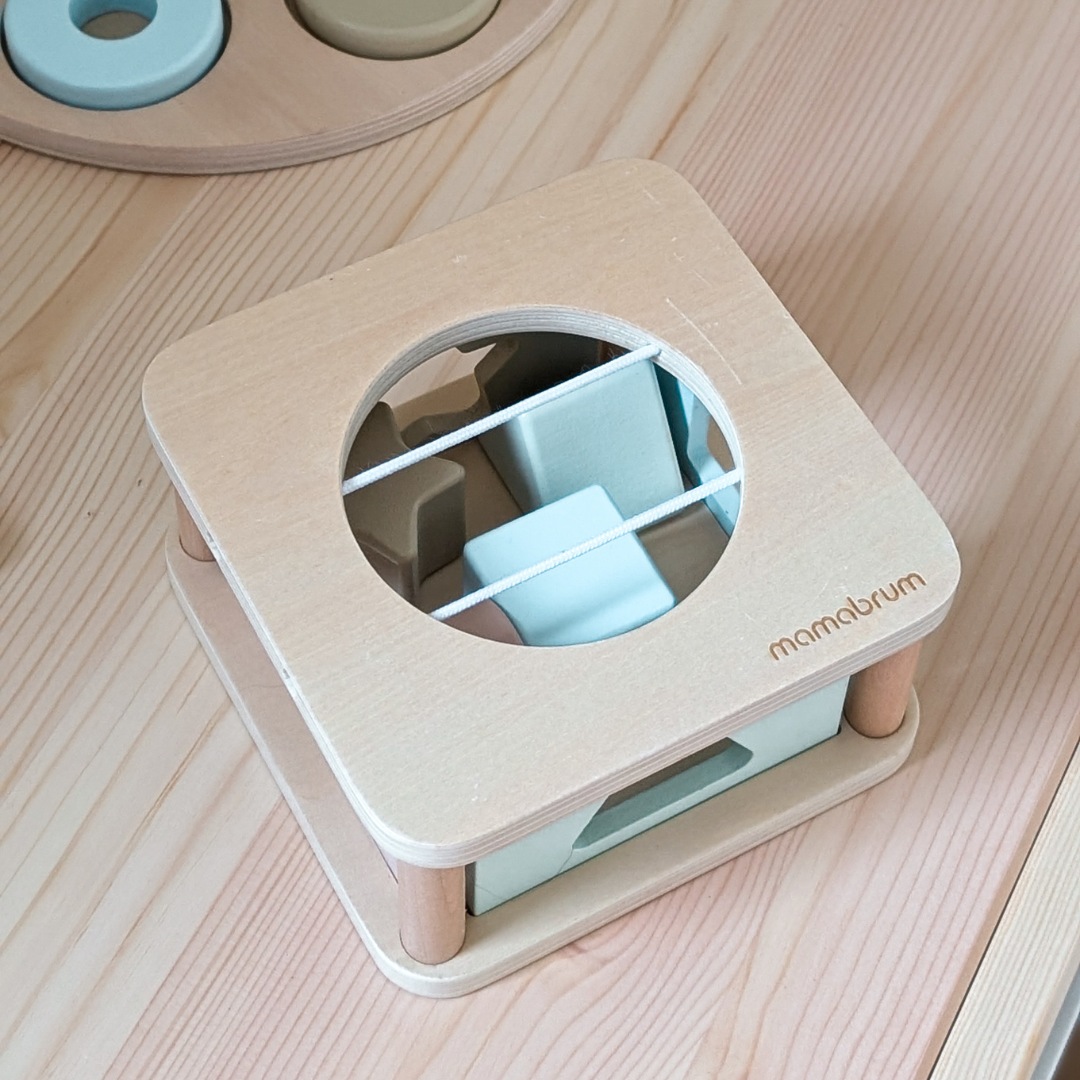 Montessori žaislų rinkinys 13-18 mėnesių vaikams