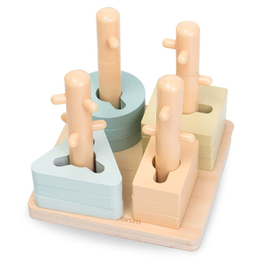 Montessori žaislų rinkinys 2-3 metų vaikams