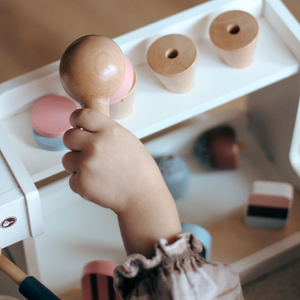 Medinė ledainė su kavos aparatu - kavinė su priedais