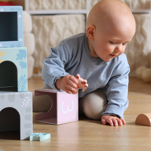 Bokšto rūšiuoklė su figūrėlėmis Dinozaurai