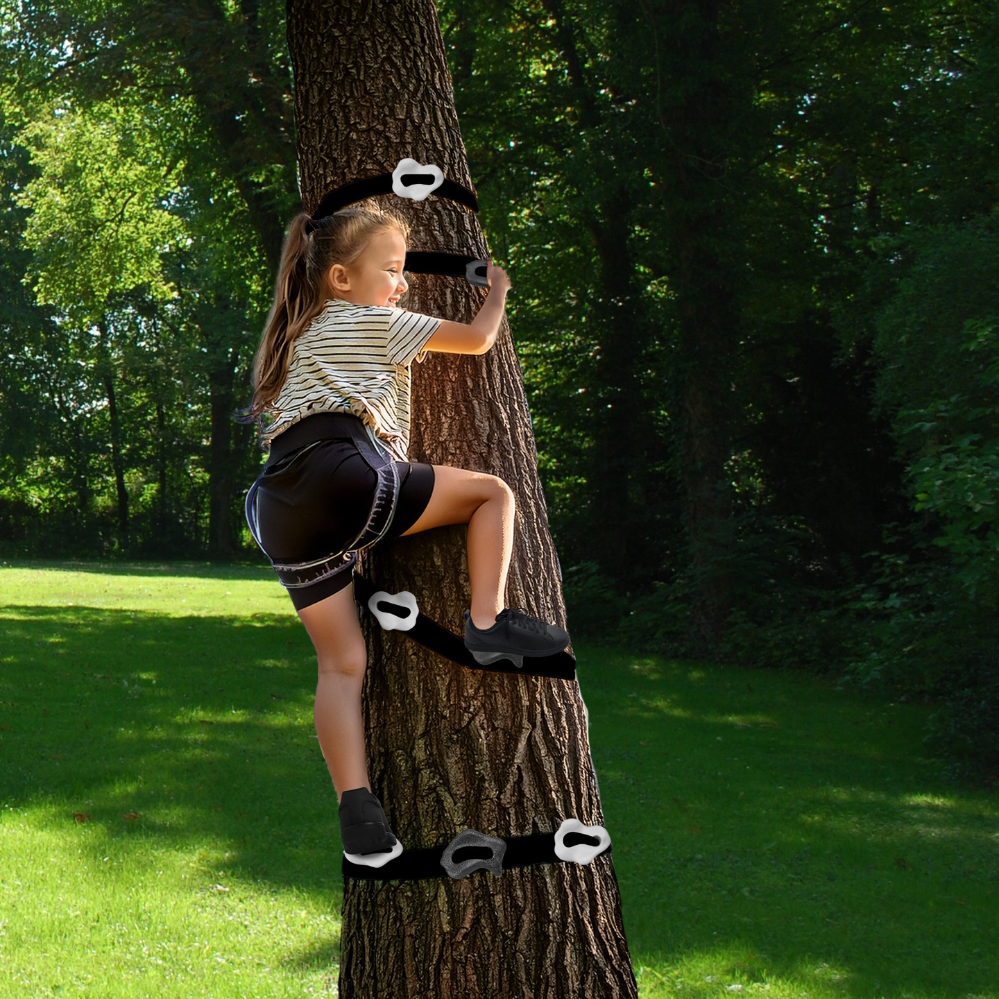 "HyperMotion" laipiojimo medžiu rinkinys - 18 elementų