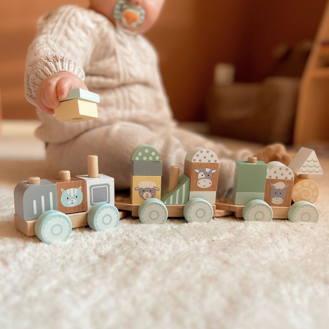 Medinis traukinys su blokeliais berniukui - Ūkis