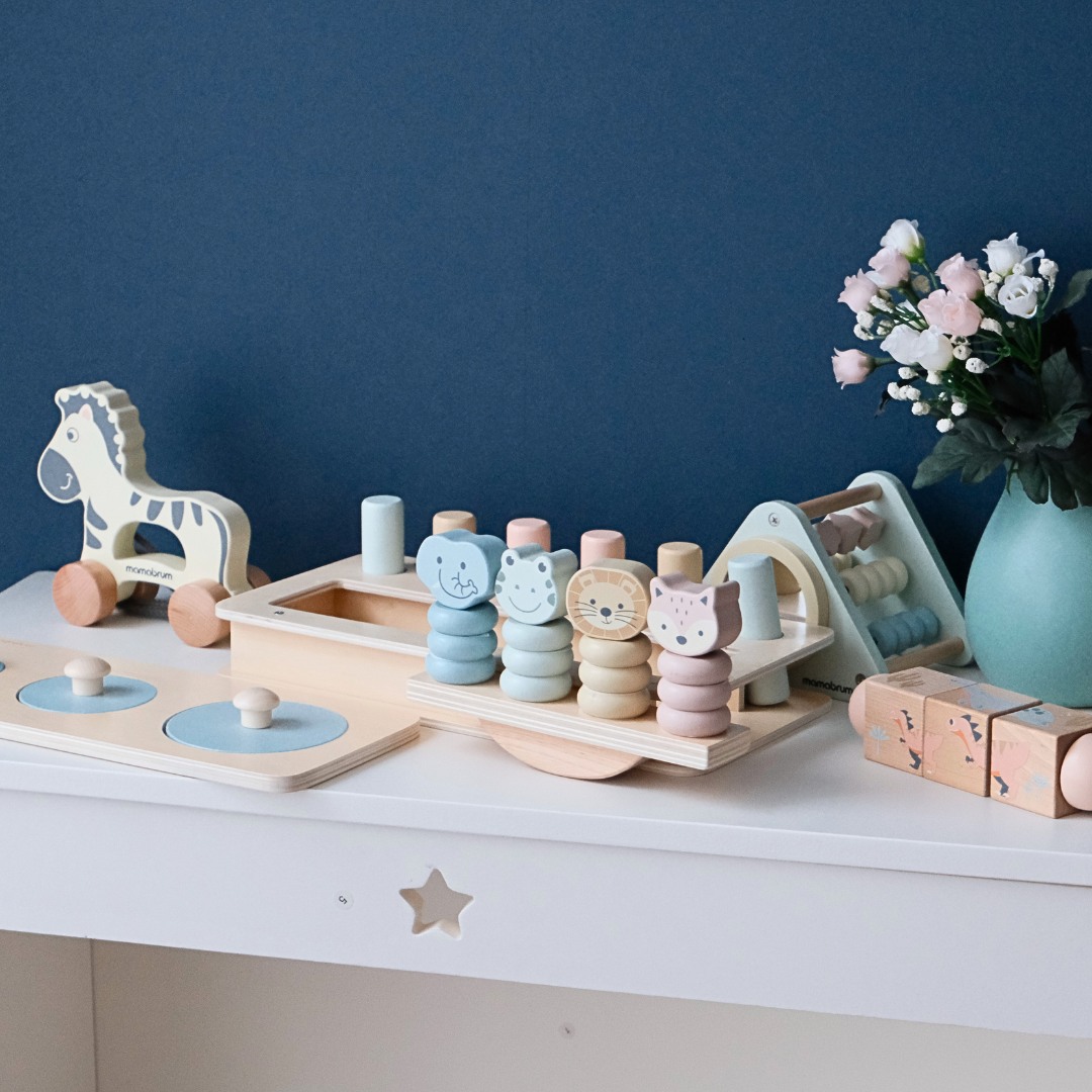 Montessori žaislų rinkinys 19-24 mėnesių kūdikiui