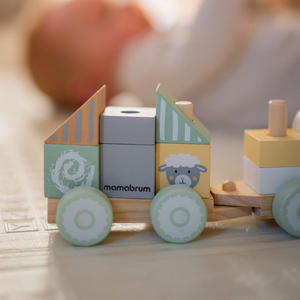 Medinis traukinys su blokeliais berniukui - Ūkis