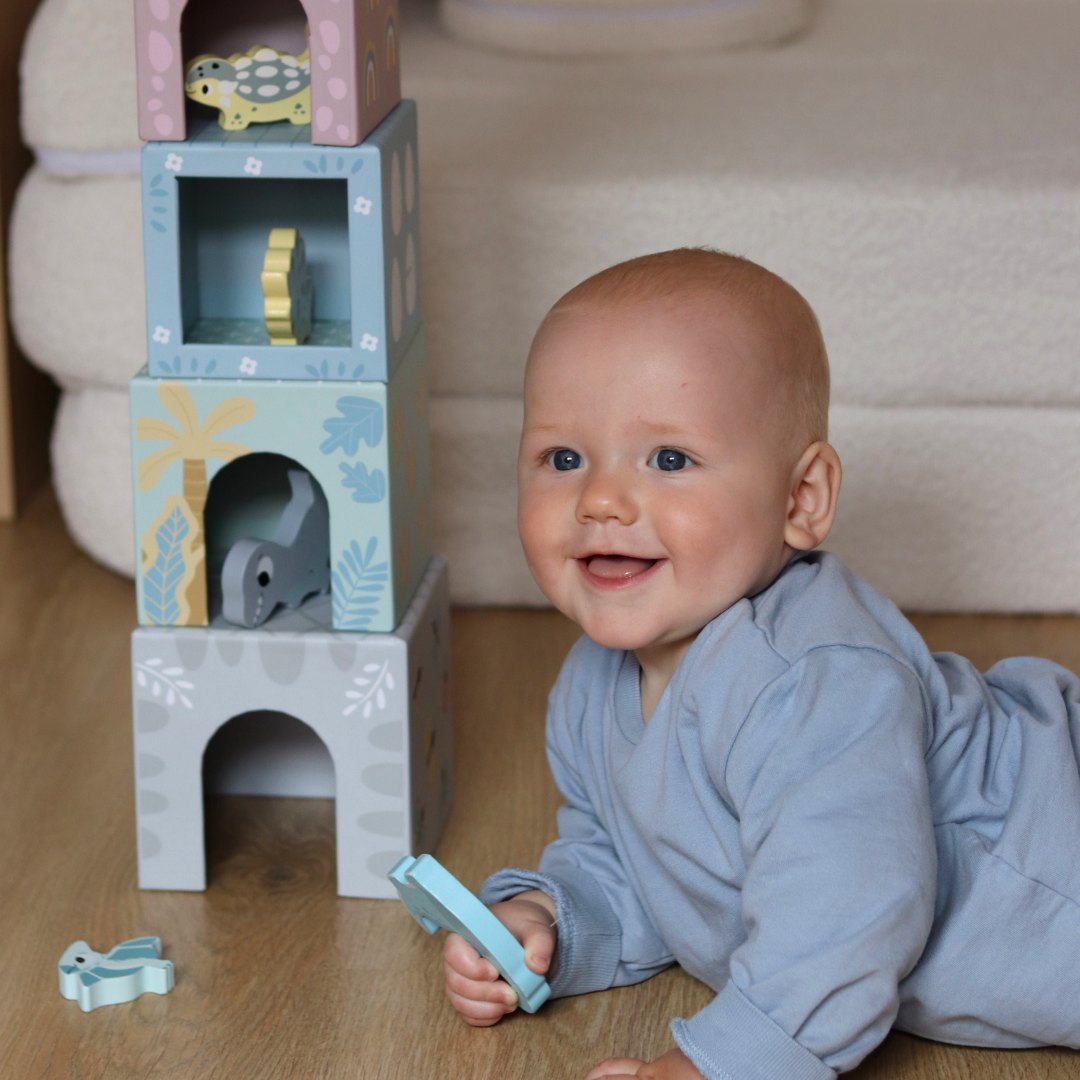 Bokšto rūšiuoklė su figūrėlėmis Dinozaurai