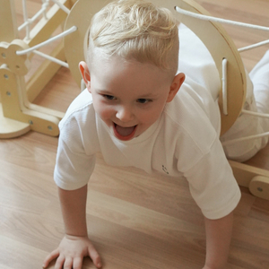 Medinė žaidimų aikštelė vaikams viduje – namelis su kopėčiomis ir čiuožykla