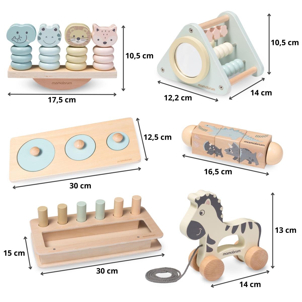 Montessori žaislų rinkinys 19-24 mėnesių kūdikiui
