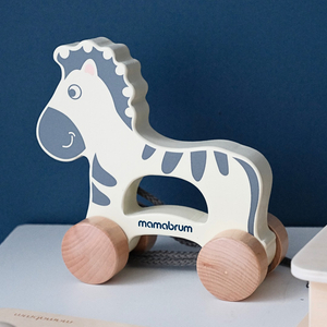 Montessori žaislų rinkinys 19-24 mėnesių kūdikiui